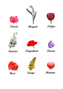 Maman, un jardin de fleurs pour toi